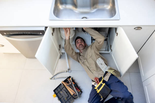 Best Clogged Drain Plumber  in Huntland, TN